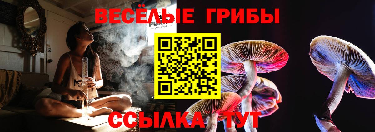 Галлюциногенные грибы прущие грибы Северобайкальск